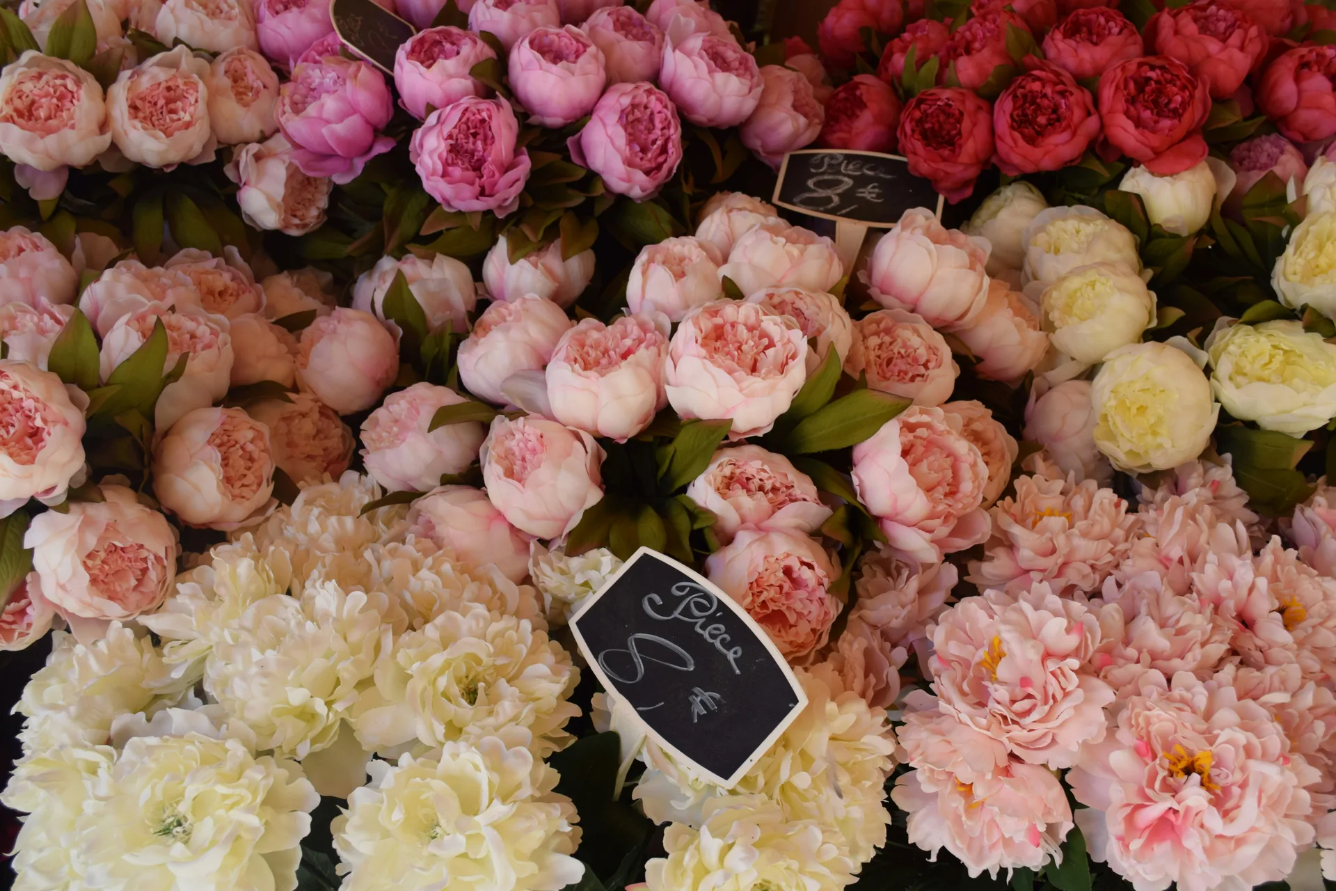 Flower shop website style